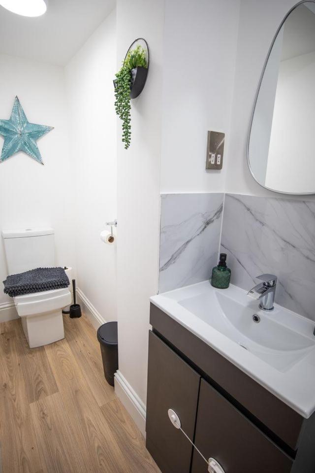 Treetop View Cosy Getaway In Eastbourne, Free Parking, Short And Long Stays, Room photo